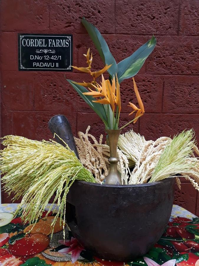 Cordel Farms 门格洛尔 外观 照片
