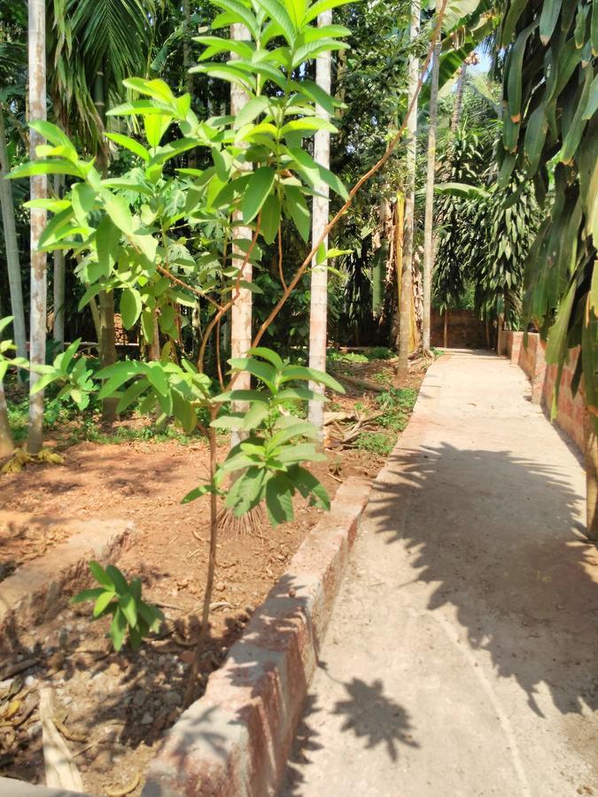 Cordel Farms 门格洛尔 外观 照片
